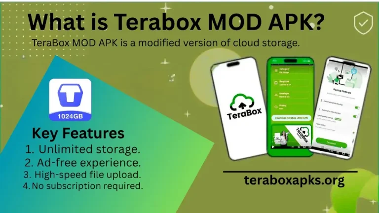 What is Terabox MOD APK